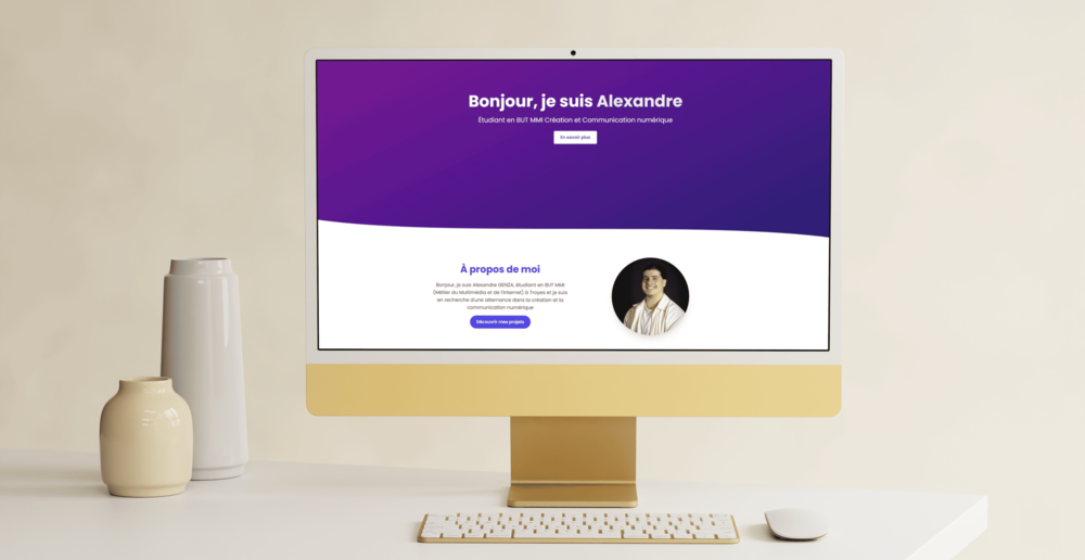 Portfolio Professionnel
